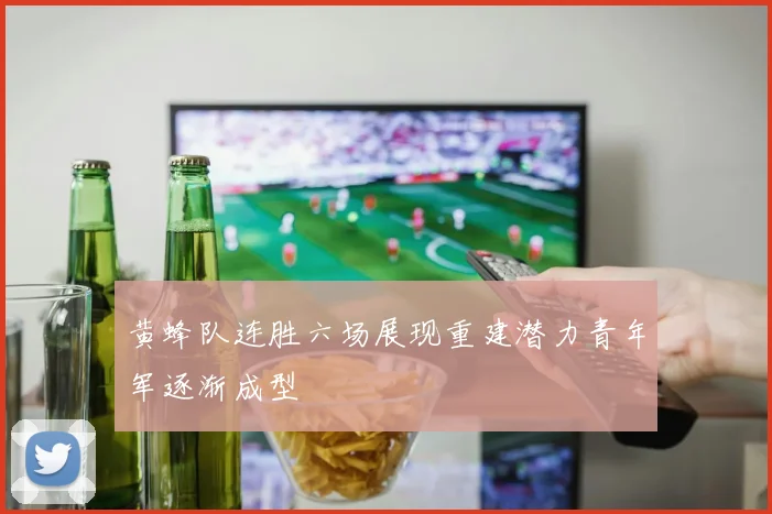 黄蜂队连胜六场展现重建潜力青年军逐渐成型